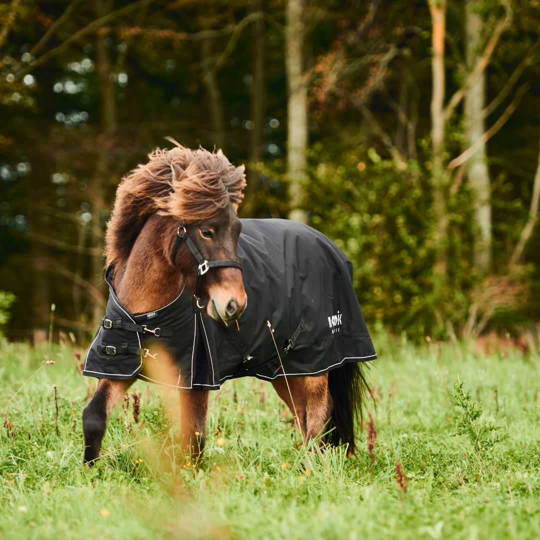 Nordic Horse Overgangsdækken